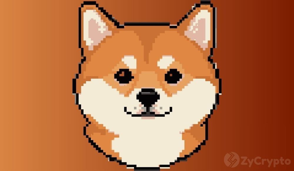 Cá voi Dogecoin tích lũy trên 500 triệu DOGE khi giá vẫn ở mức đi ngang