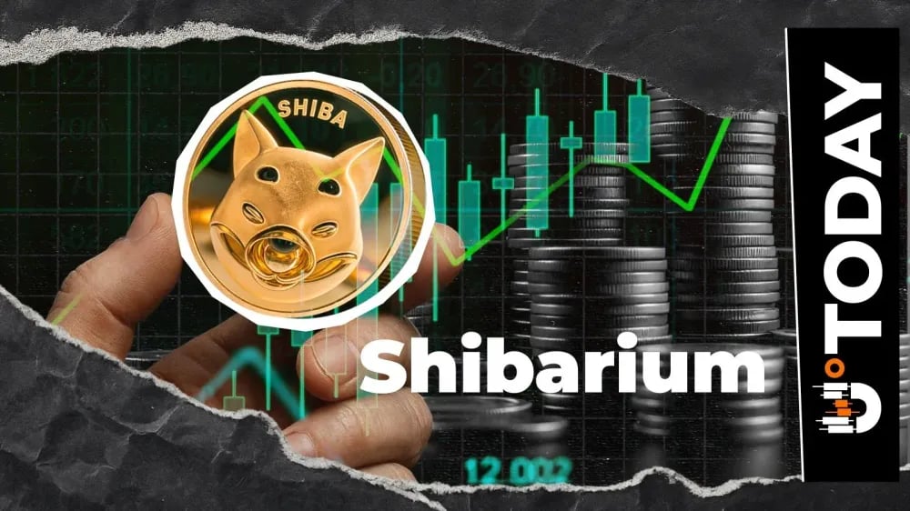 Shibarium Update: Daily Transactions Jump 33% as Network Activity Rebounds