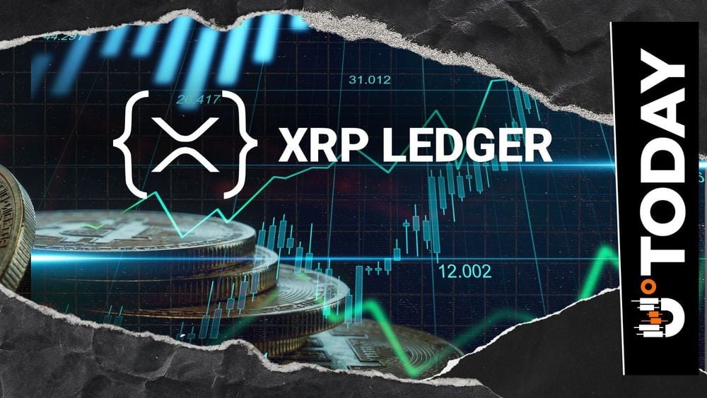 XRPL developers rise 10% year over year as adoption grows