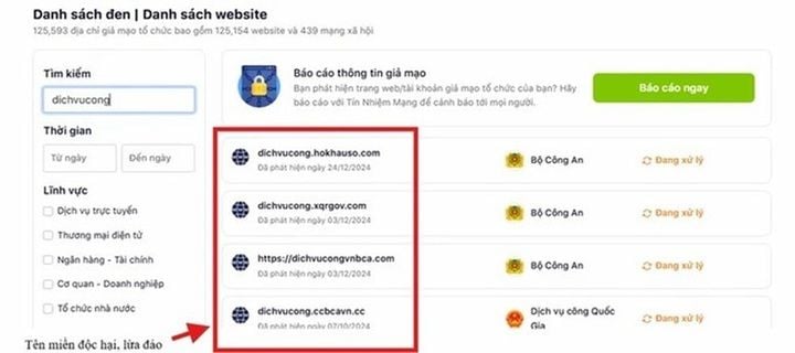 A simple method to verify scam websites