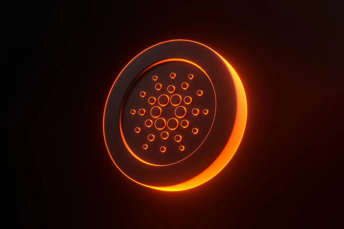 Midnight adds new growth paths to Cardano, says Gokhshtein