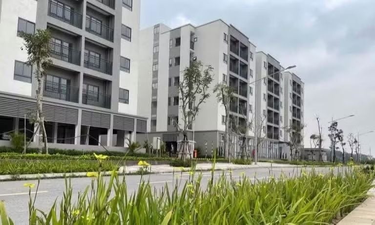 Hundreds of social housing units priced under 1 billion dong to go on sale in Hanoi