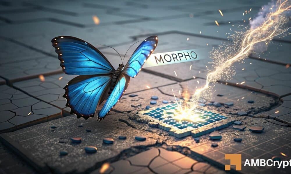 MORPHO climbs 16% as leverage expands, targeting $1.80 next