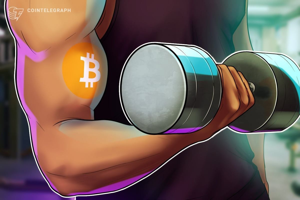 Bitcoin price indicators point to potential 170%–220% rally as realized price bands indicate accumulation zone