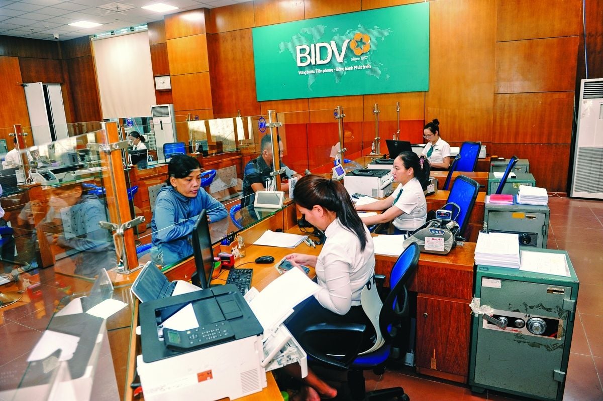 State-owned Commercial Banks: The Lifeblood of Capital Provision for the Economy