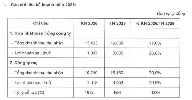 Vinaconex targets 73% drop in net profit, adds two board members