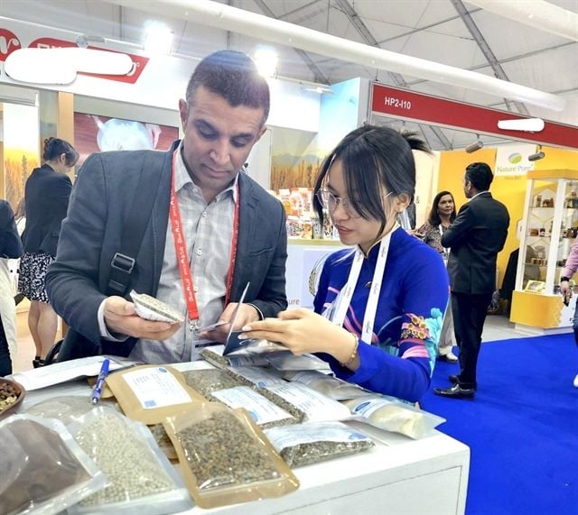 Vietnamese coffee prices fall as Brazil's bumper harvest weighs on global markets; farmers advised not to hold back for peak prices.