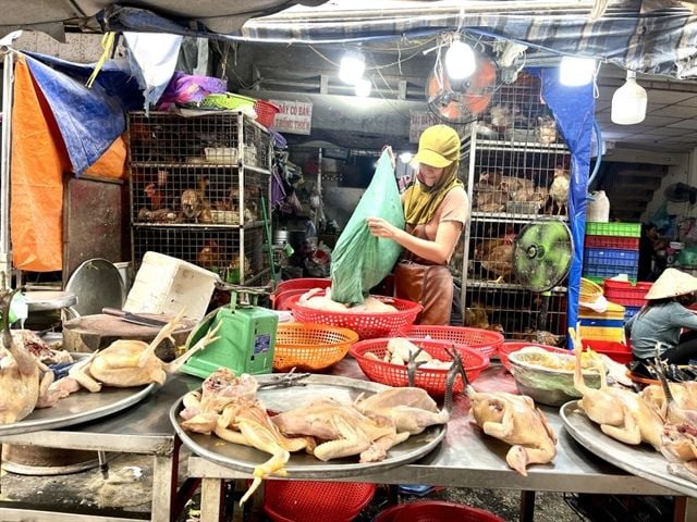 Egg prices at poultry farms fall below production costs, harming farmers