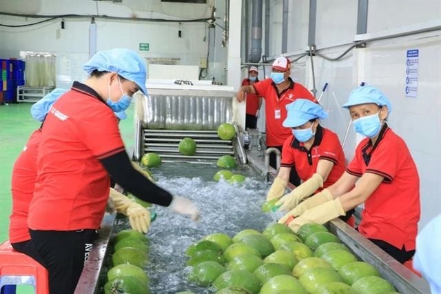 Việt Nam và Trung Quốc ký nghị định thư mở cửa xuất khẩu bưởi và chanh