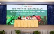 Bau Duc outlines funding sources for HAGL's 20,000-hectare coffee project and processing plants