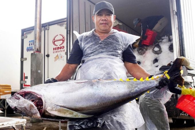 Gia Lai proposes to establish Southeast Asia's first tuna auction center