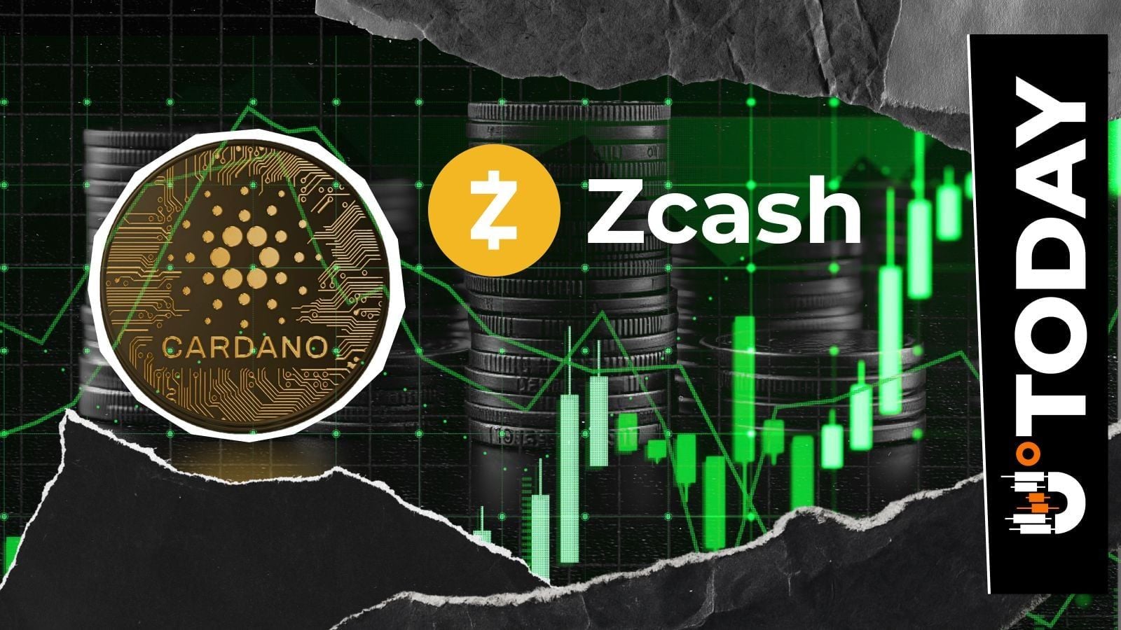 Zcash outperforms Cardano with 65% price increase, flips market position