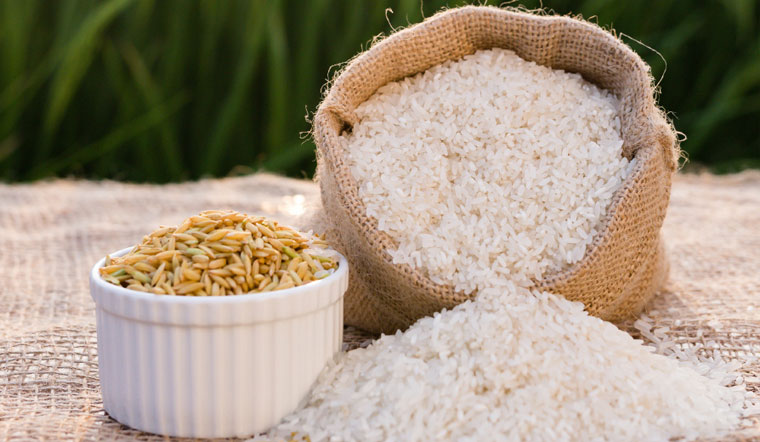 Giá lúa gạo hôm nay ghi nhận tại khu vực Đồng bằng sông Cửu Long chững lại sau phiên điều chỉnh tăng. 