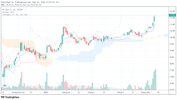 Diễn biến giá cổ phiếu NAB có xu hướng tăng kể từ đầu năm. (Nguồn: Tradingview).