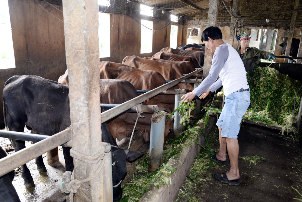 kinh tế tỉnh Hưng Yên