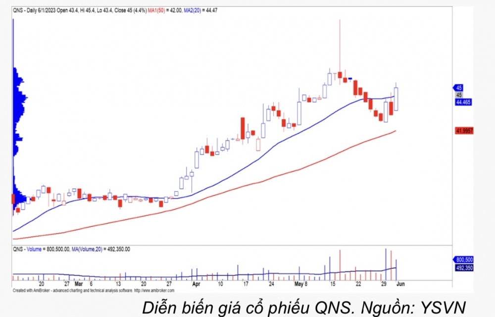 Đường Quảng Ngãi (QNS)