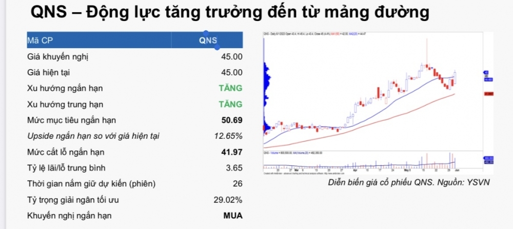 Đường Quảng Ngãi (QNS)