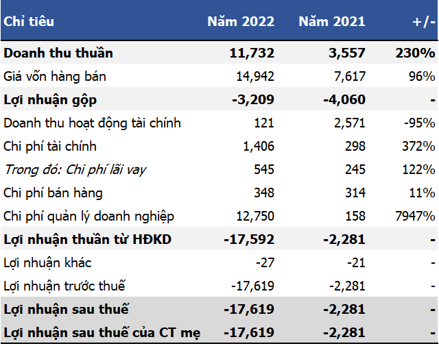 Kết quả kinh doanh năm 2022 của Bamboo Airways Đvt: Tỷ đồng