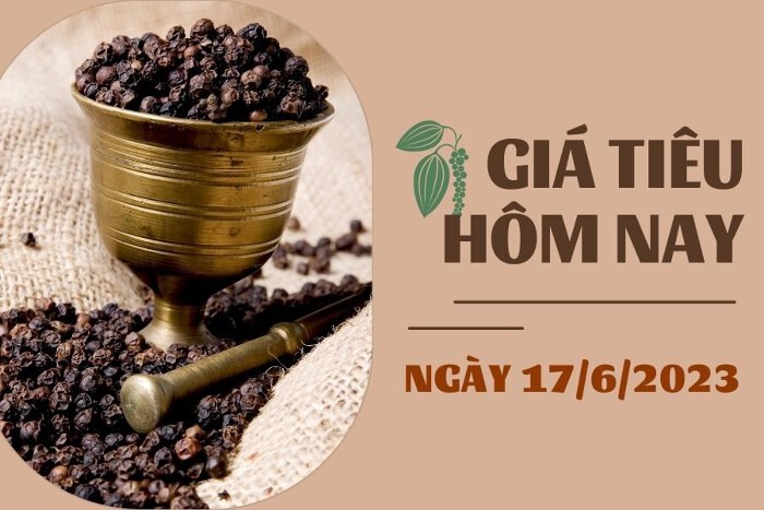 Giá tiêu hôm nay 17-6