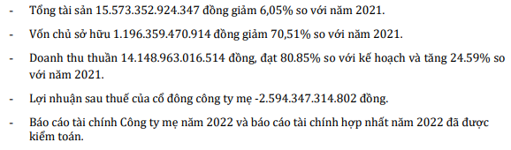 ​​​​​​Các chỉ số tài chính 2022 của HBC sau kiểm toán