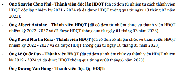 Danh sách thành viên HĐQT sẽ miễn nhiệm tại ĐHĐCĐ thường niên 2023