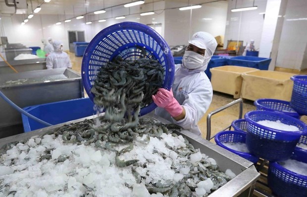 ​​​​Doanh nghiệp thủy sản Việt Nam đang đối mặt với áp lực nặng nề khi thị trường tiêu thụ lao dốc và giá xuất khẩu giảm mạnh.