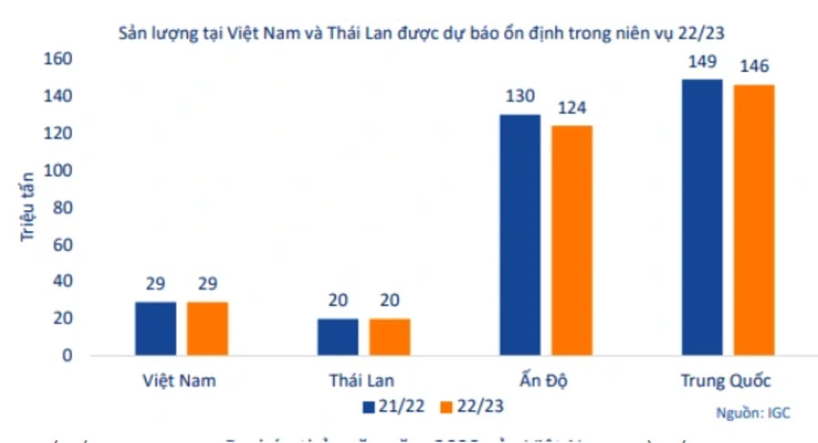 sản lượng tại Việt Nam và Thái Lan được dự báo ổn định trong niên vụ 22/23
