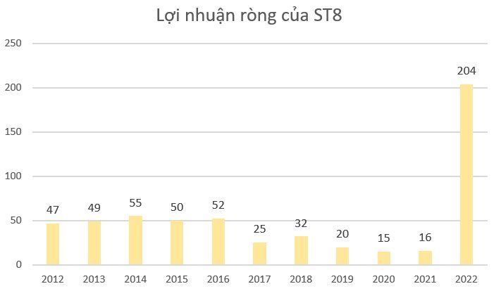 lợi nhuận ròng của st8