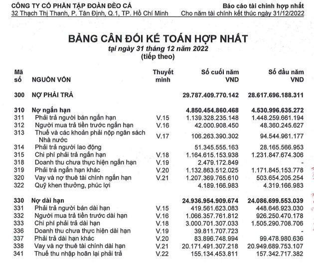 Một số chỉ tiêu tài chính của Tập đoàn Đèo Cả năm 2022