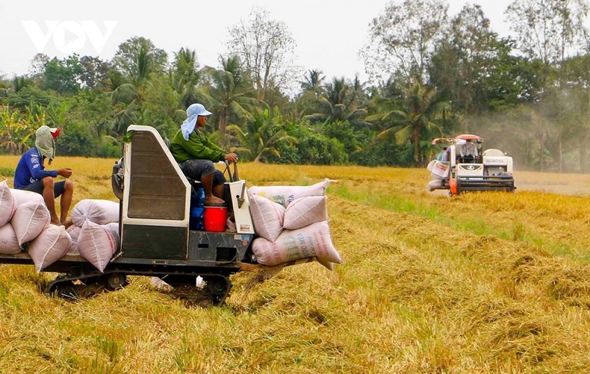 Doanh nghiệp xuất khẩu gạo cẩn trọng khi kí kết hợp đồng để đảm bảo phòng ngừa rủi ro dù thị trường xuất khẩu tăng cao.