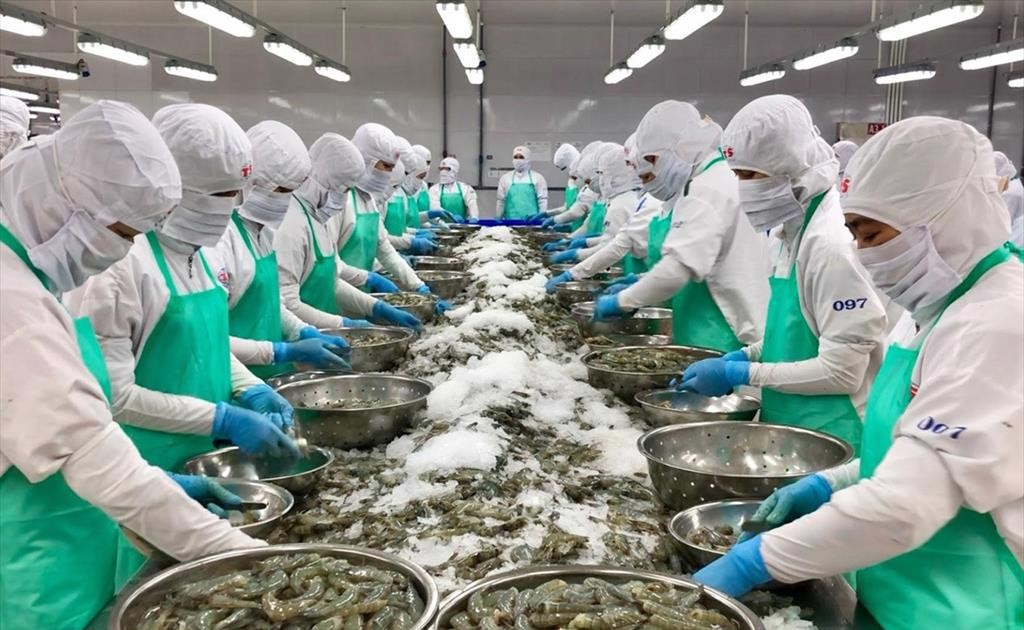 Cẩn trọng trước “thẻ đỏ” khiến Việt Nam có thể bị cấm xuất khẩu hải sản sang EU.