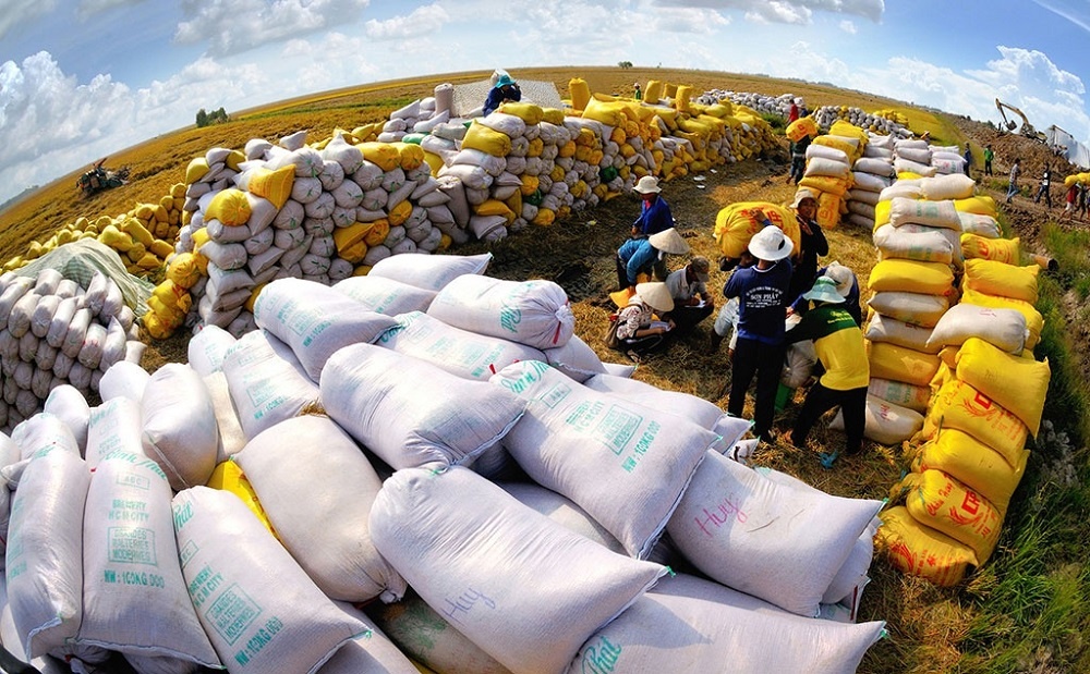 Những thành tựu và giải pháp tăng cường xuất khẩu lúa gạo của Việt Nam