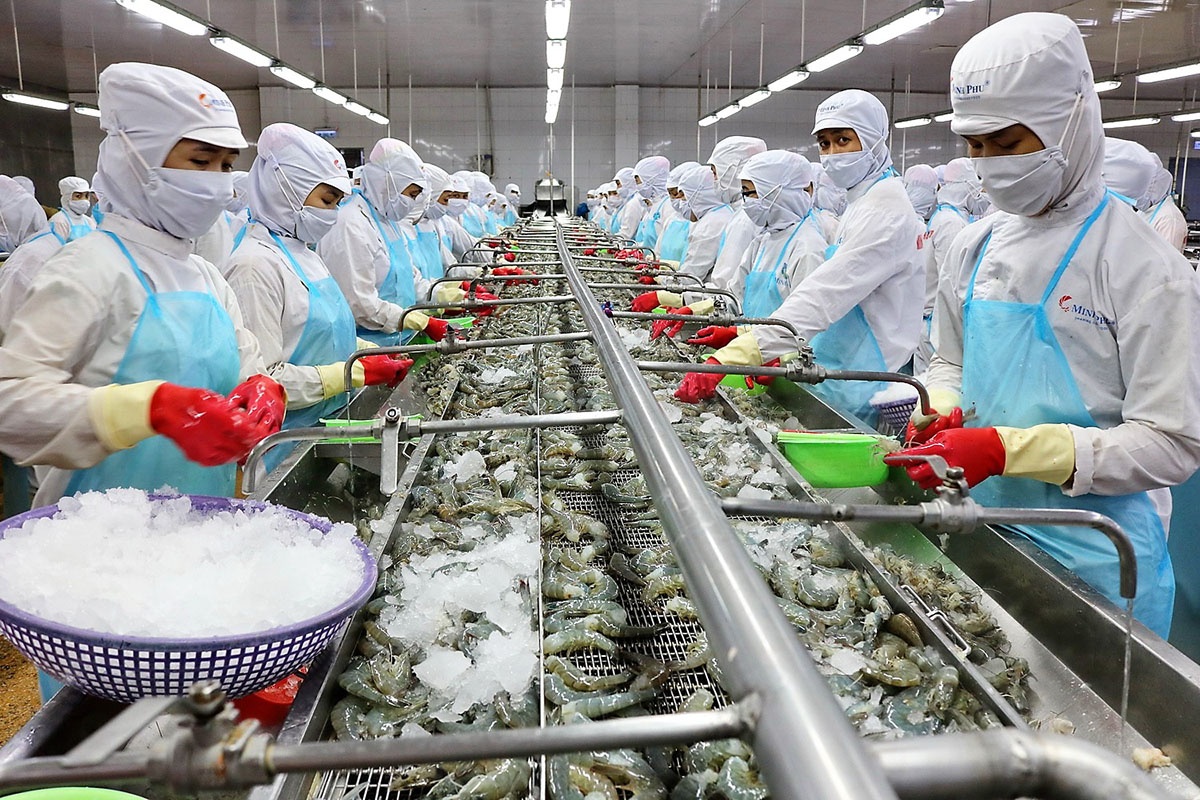 Tháng 9/2023, XK thủy sản của Việt Nam ước đạt 862 triệu USD, tương đương cùng kỳ năm 2022. Lũy kế tới hết quý III/2023, XK thủy sản đạt trên 6,6 tỷ USD, giảm 22% so với cùng kỳ.