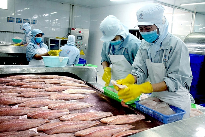 Cá tra Việt Nam vào EU tăng mạnh.