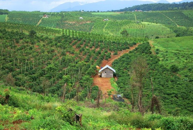 Nở rộ rao bán đất “siêu rẻ” giá chỉ từ 2.000 đồng/m2: Môi giới khuyên nhanh tay nắm lấy cơ hội “đổi đời” vì giá có thể tăng lên 10 lần