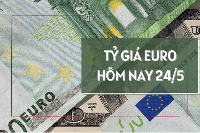 Tỷ giá euro hôm nay 24/5/2023: Euro giảm hàng loạt tại các ngân hàng