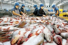 Trong 4 tháng đầu năm xuất khẩu cá tra giảm 41%