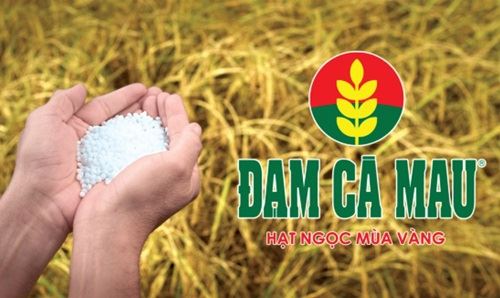 Đạm Cà Mau (DCM) chịu tổn thất lớn khi lãi nửa đầu năm giảm 85%, triển vọng kinh doanh chưa rõ ràng cho nửa cuối năm