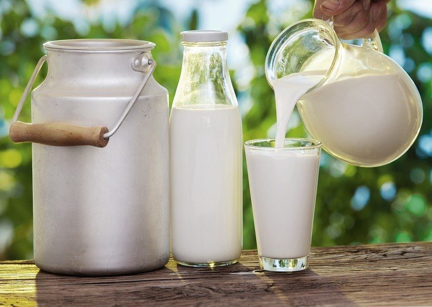 Sữa tươi chưa tiệt trùng liệu có an toàn khi sử dụng?