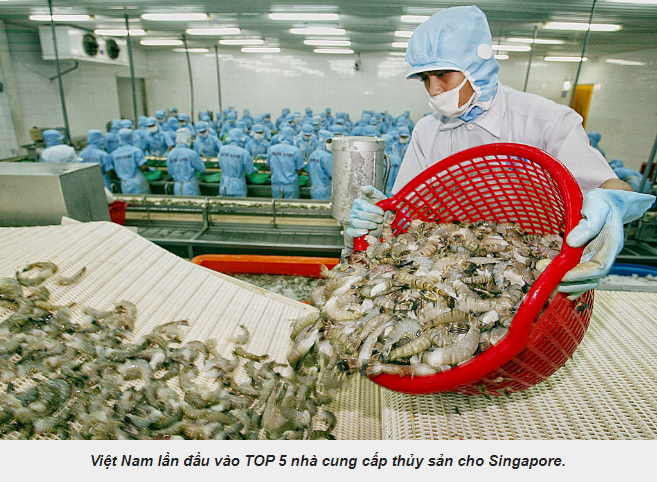 Việt Nam lần đầu vào TOP 5 nhà cung cấp thủy sản cho Singapore