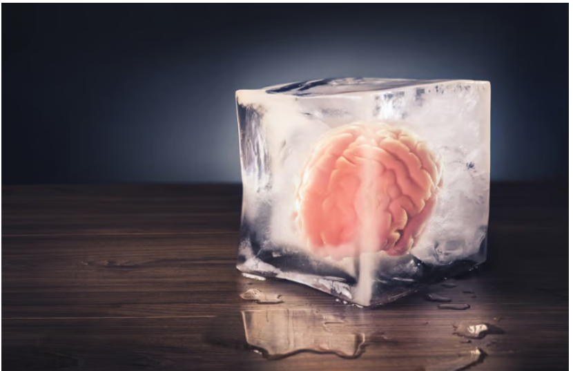 Phát triển hỗn hợp hóa học giúp mô não hoạt động trở lại sau khi bị đông lạnh