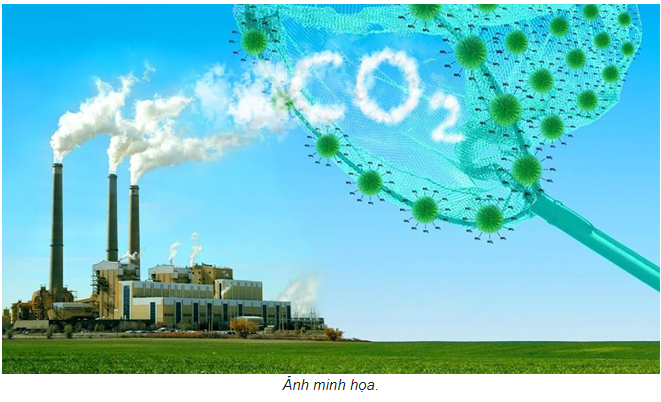 Thúc đẩy thị trường carbon: Thêm lời giải bài toán giảm phát thải cho doanh nghiệp